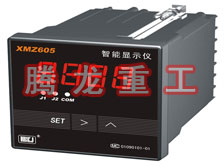 溫度表、數(shù)字顯示儀、濕度表