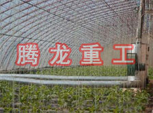 大棚花卉供暖設(shè)備、大棚卉采暖設(shè)備、大棚花卉取暖設(shè)備