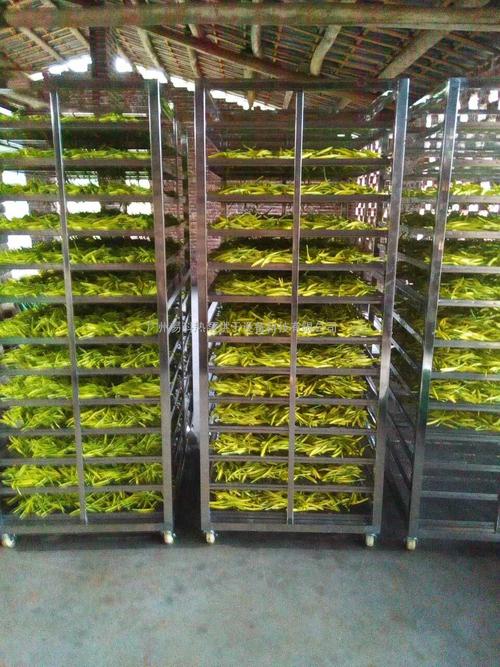 黃花菜烘干機(jī)、黃花菜烘干設(shè)備、黃花菜干燥機(jī)、黃花菜干燥設(shè)備、